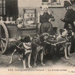 CPA - BELGIQUE / LAITIERE FLAMANDE N°4370