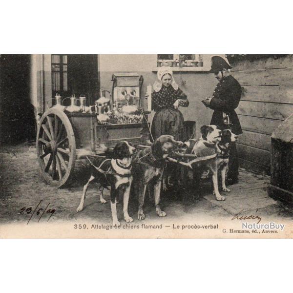 CPA - BELGIQUE / LAITIERE FLAMANDE N4370