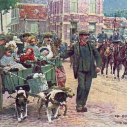 CPA - BELGIQUE / LAITIERE FLAMANDE N&deg;4372