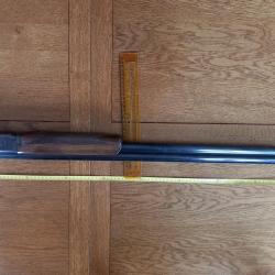 BC MIROKU trap fosse