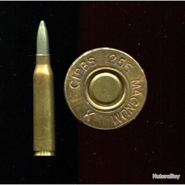 .256 Gibbs Magnum - Prestigieux calibre Anglais - marquage : GIBBS 256 MAGNUM K - balle Solid Tip