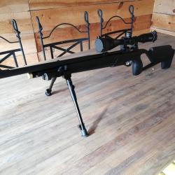 carabine PCP 4.5 stoeger XM1