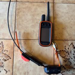 Garmin alpha 100 et collier t5 mini