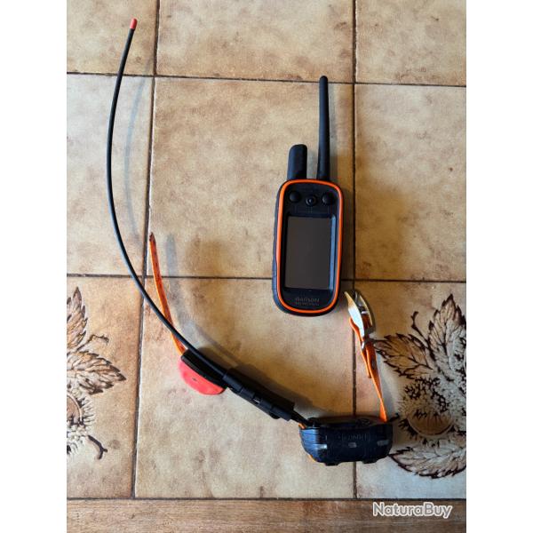 Garmin alpha 100 et collier t5 mini