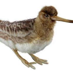 PELUCHE BECASSE 33cm