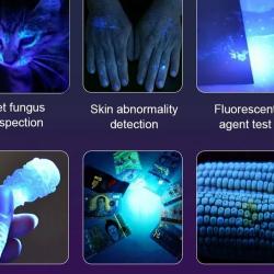 365nm Mini UV Led lampe de poche à lumière noire Usb lampe à ongles Rechargeable marqueur de fuite d