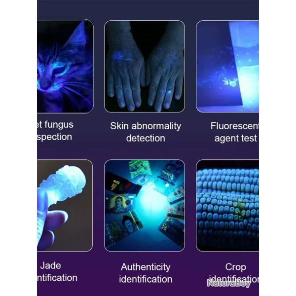 365nm Mini UV Led lampe de poche  lumire noire Usb lampe  ongles Rechargeable marqueur de fuite d