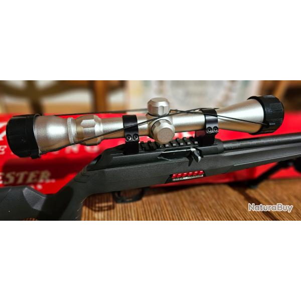 WINCHESTER wildcat 22lr Pack prt  tirer