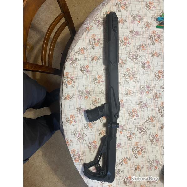 Crosse tactique ruger 10/22