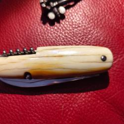 Couteau bouledogue issard os de chameau