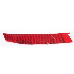 PLUME ENTIERE GATEWAY FLU-FLU - ROUGE TIGRE - par 6