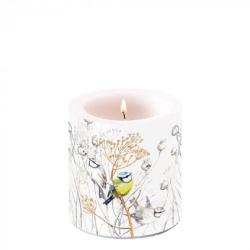 BOUGIE PETITS OISEAUX PM - AMBIENTE