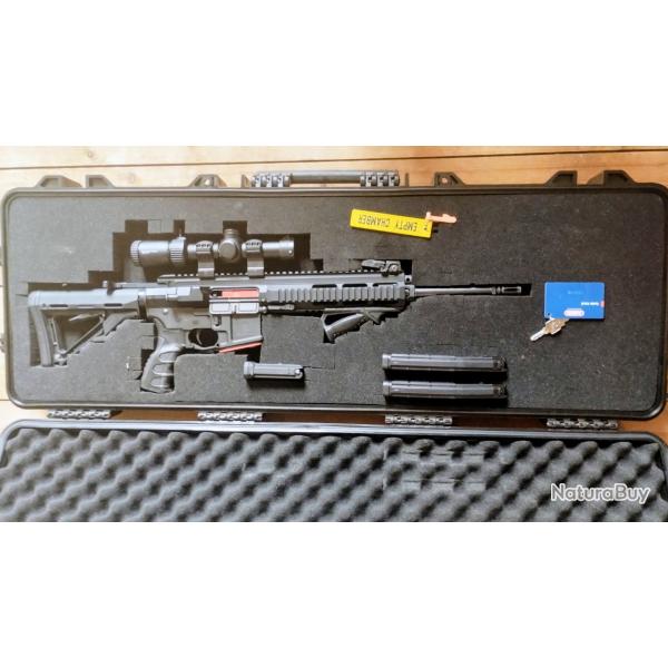 .223 rem PROARMS par MK3 + lunette vortex eagle strike