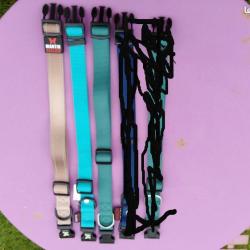 1 lot de 3 colliers neuf + laisse a enrouleur