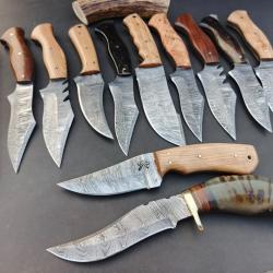 Lot 11 couteaux  Lame Acier damas Manche en Bois de Olive Palissandre et corne de  Bélier