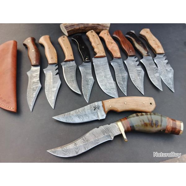 Lot 11 couteaux  Lame Acier damas Manche en Bois de Olive Palissandre et corne de  Blier