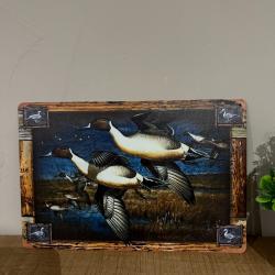 Plaque m&eacute;tallique, d&eacute;corative, VOL DE CANARD.....ENCHERE 1 EURO