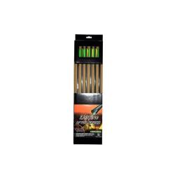 Fl&egrave;ches Hori-Zone Aftershock Carbone 20 pouces x6