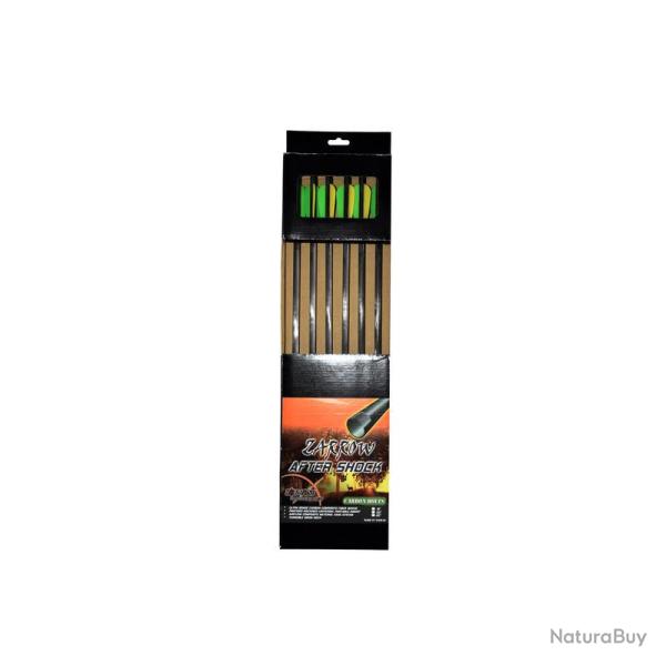 Flches Hori-Zone Aftershock Carbone 20 pouces x6