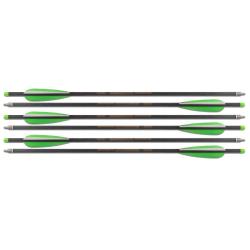 Lot de 6 Fl&egrave;ches Carbone de 20 pouces