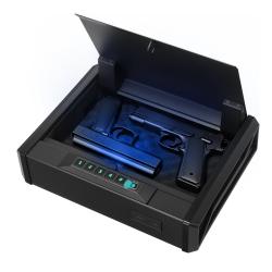 Coffre-Fort Armes pour 2 Pistolets et 2 Chargeurs Armes Ultra Sécurisé Haute Qualité