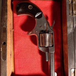 Colt new line pocket 22lr short