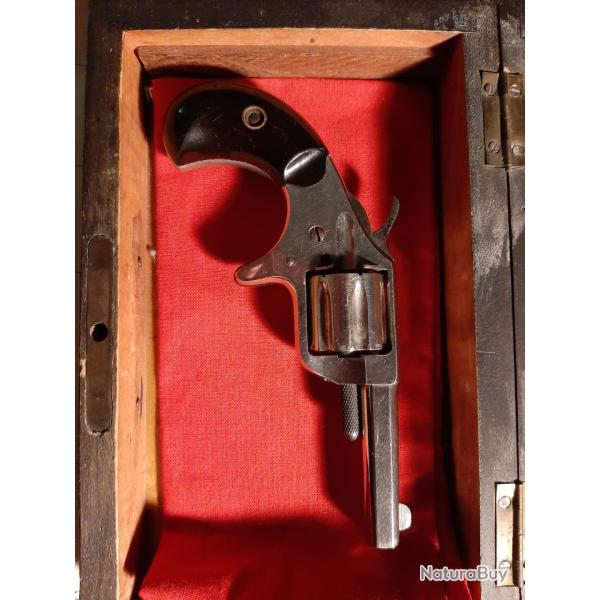 Colt new line pocket 22lr short