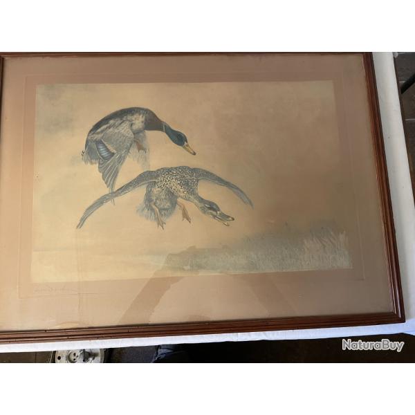 2 lithos encadr�es sign�es et num�rot�es de Danchin