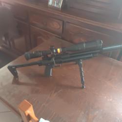 carabine PCP snowpeck PP 750 customisée calibre 5,5 diabolos
