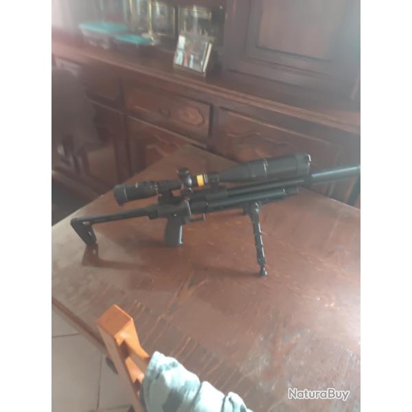 carabine PCP snowpeck PP 750 customise calibre 5,5 diabolos