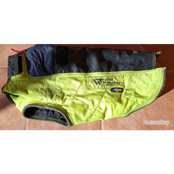 Gilet de protection chien de chasse