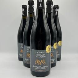 2021 Domaine des Hauts de Sanziers Saumur-Champigny Rouge - 6 Bouteilles