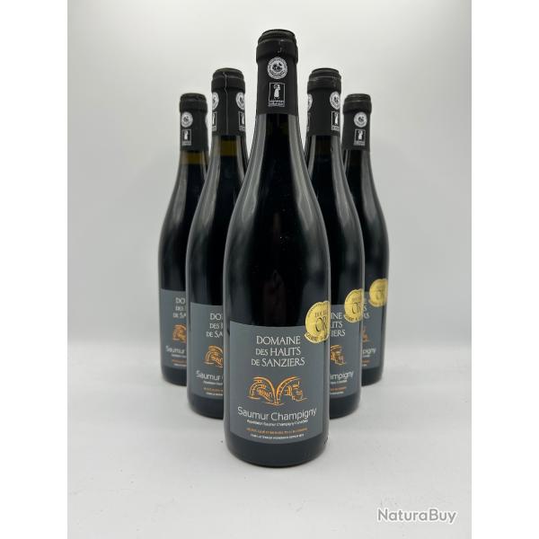 2021 Domaine des Hauts de Sanziers Saumur-Champigny Rouge - 6 Bouteilles