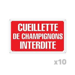 Lot de 10 Panneaux CUEILLETTE CHAMPIGNONS Akilux 26x20cm
