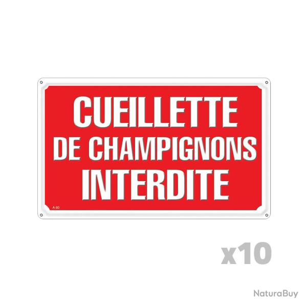 Lot de 10 Panneaux CUEILLETTE CHAMPIGNONS Akilux 26x20cm