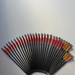 Arbalète William Tell Archery