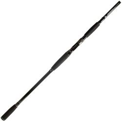 Canne casting BFT 92 Double impact 9'