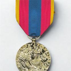 (18.017) Médaille de la Défense Nationale - Or