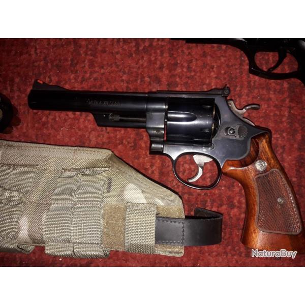 Smith & Wesson  model 29