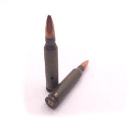 Balle neutralis&eacute; de 5.56mm NATO  M4 M16 AR15 5.56x45mm .223 Remington d&eacute;coration INERTE NEUTRA