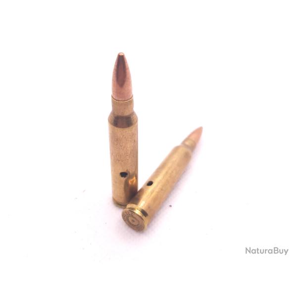 Balle neutralis� de 5.56mm NATO Laiton M4 M16 AR15 5.56x45mm .223 Remington d�coration INERTE NEUTRA