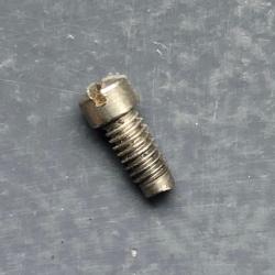 Pour S&W K / L / N, vis inox de plaque de recouvrement.