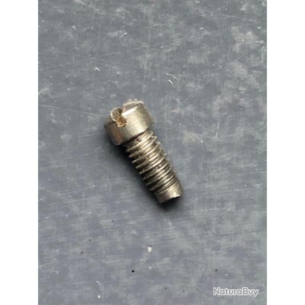 Pour S&W K / L / N, vis inox de plaque de recouvrement.