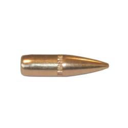 OGIVES CAM-PRO .223 62GR FMJ BT
