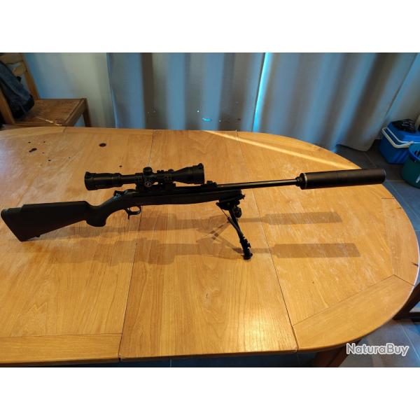 Carabine Bergara  222 BA 13