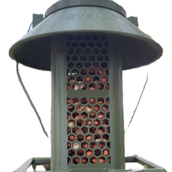 NUC&Eacute;A - la mangeoire sp&eacute;cialement con&ccedil;ue pour les cacahu&egrave;tes. Vert Olive, Clip Universel M&acirc;le, Gris 