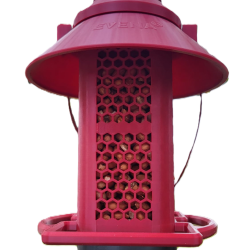 NUC&Eacute;A - la mangeoire sp&eacute;cialement con&ccedil;ue pour les cacahu&egrave;tes. Rouge Pourpre, Clip Universel M&acirc;le, Gr