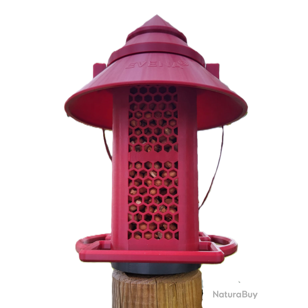 NUC�A - la mangeoire sp�cialement con�ue pour les cacahu�tes. Rouge Pourpre, Clip Universel M�le, Gr