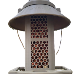 NUCÉA - la mangeoire spécialement conçue pour les cacahuètes. Gris Olive, Clip Universel Mâle, Gris 