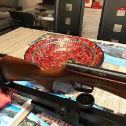 Carabine à plomb RX40